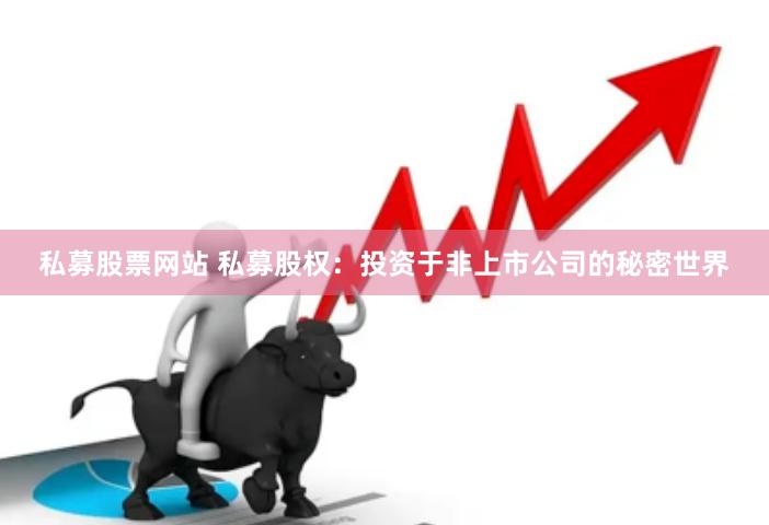 私募股票网站 私募股权：投资于非上市公司的秘密世界