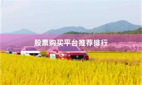 股票购买平台推荐排行